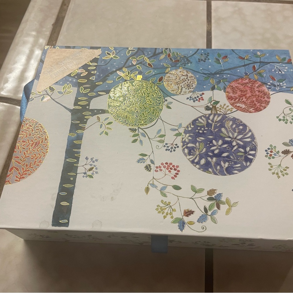 Brand New Holiday Cards in Decorative Gift Box